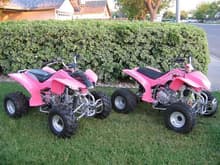 The '06 Jetmoto 125 and 200. 125 is ridden by my son's 18 yr old g/f. 200 is ridden by my wife.