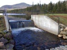 the dam