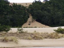 Oregons tallest dune Winchester bay                                                                                                                                                                     