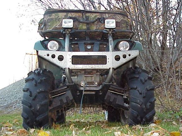 My Grizzly