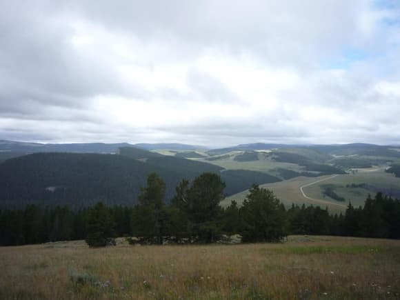 top of the bighorn mountains