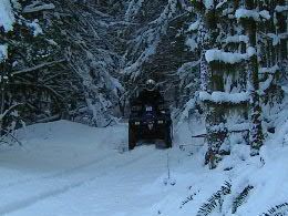 Mrs Runamuk0 on snow covered trail                                                                                                                                                                      