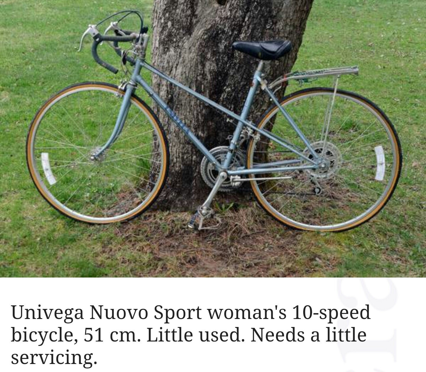 univega womens bike