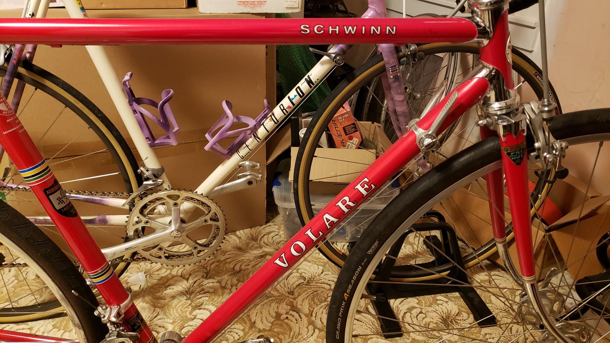 schwinn volare bicycle