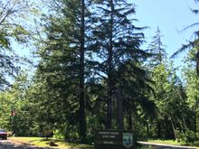  Deserted state park.  I thought that school was out and parks would be crowded.