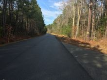 My Post Pictures