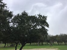 South Texas drizzle. 