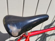 Can a seat like this be "brought back"? Will shoe dye work?