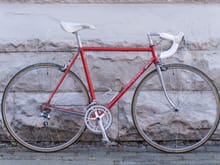Pinarello Vintage Bike (Treviso or Catena Lusso)