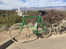 Saguaro National Park