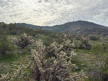 Rolling by the antenna-festooned buttes