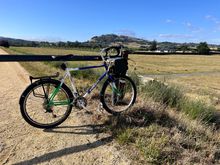 Te Mata Peak in the background 