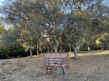 Oak trees speak to me. This grove of oaks makes a nice backdrop to some Tilden Park signage pointing the way toward a fun-for-youngins steam trea that tours a landscape dotted with miniature scenes.