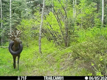 Somewhere near Conifer CO.
