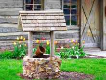 Wishing well! 