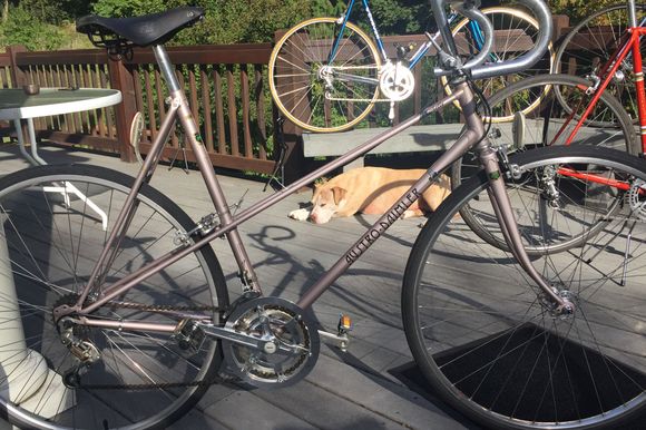 I mean, who in their right mind would do a his/hers, same bike brand, winter project?