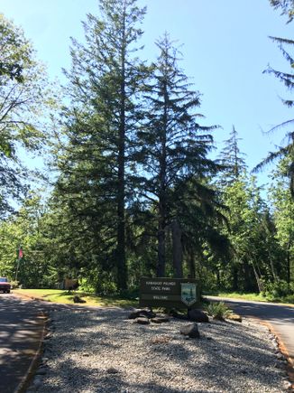  Deserted state park.  I thought that school was out and parks would be crowded.
