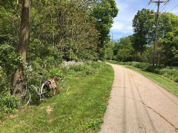 In the flowers, the caboose is still hanging on...