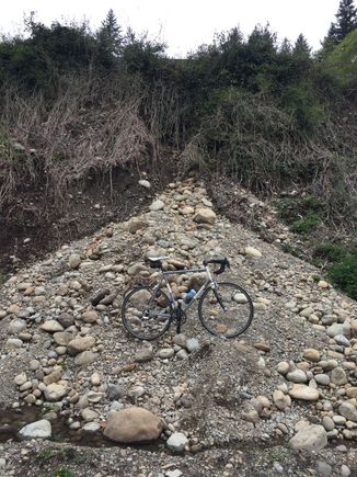 Winter trailside mudslide, washed clean with Spring rains.