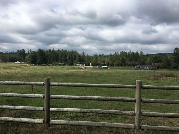 Nice BIG fields