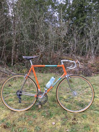 ‘72 HardingPro (HoldsworthPro)