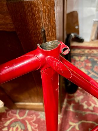long thin lugs