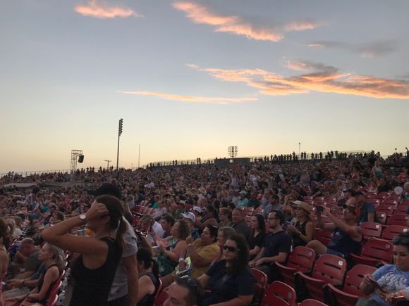 The crowd 