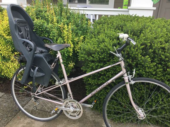 Some applications do not require 531, or butted - just a good saddle and fun companion riders.