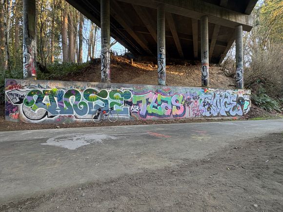 The left side of this wall has recently been painted twice.  Perhaps there is a little turf battle going down?
There are a couple note tags saying, "In Da Dark", and, "Ask".
I have no background knowledge about this art world.
Botty Kayer?