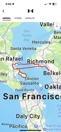 They opened up the Richmond-San Rafael Bridge to bikes a few years ago. It’s great because it opened up a lot of wonderful rides in the North Bay, but riding on the bridge isn’t always the most pleasurable experience. Really noisy with the high speed traffic just over the barricade. However,  there was an accident on the bridge and the CHP closed traffic to all autos. Bikes only today! At least on the way out.