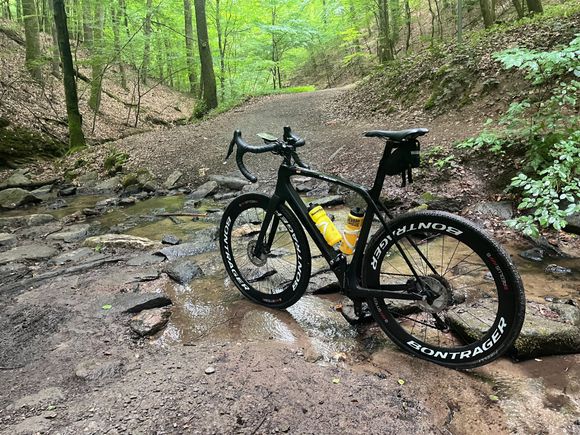 Trek Domane