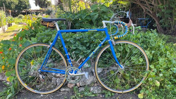 The seat stats are fairly robust. I like the scalloped stay ends, but the back of my thighs graze the top of the stays. I stopped noticing them after a few miles but it it took a little getting used to. 