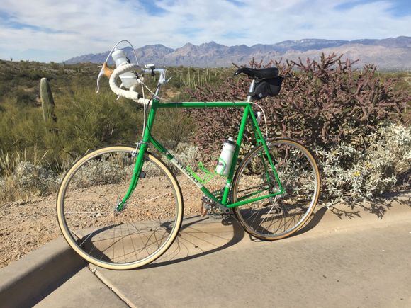 Saguaro National Park