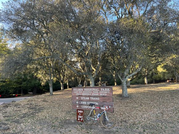 Oak trees speak to me. This grove of oaks makes a nice backdrop to some Tilden Park signage pointing the way toward a fun-for-youngins steam trea that tours a landscape dotted with miniature scenes.
