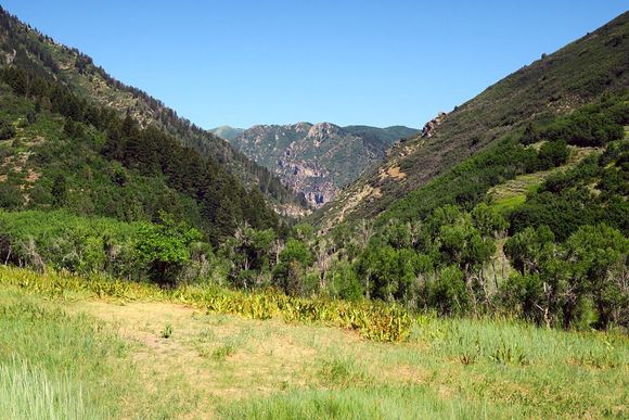 There's a rough, rocky dirt road through this canyon that brings you back out in the valley where I live.