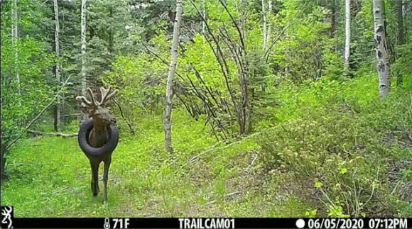 Somewhere near Conifer CO.