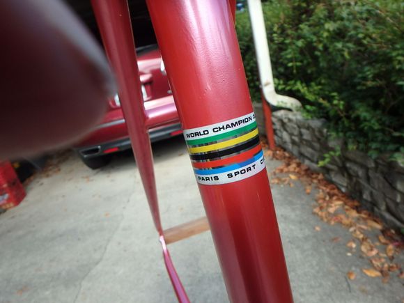 world champ stripes