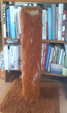 time to recover the scratching post... again... and again... and again... Placating the 'Putin' in Katzen...  LOL!