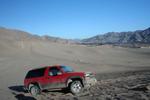 Chilean Blazer