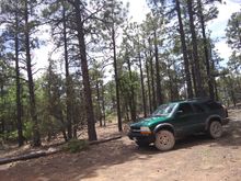 zuni mountains