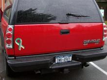 rear bumper and tail lights