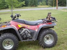 my 400 arctic cat and my moms dog when he was a puppy