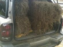 When the tractor doesn't work and the cub cadet doesnt work, my trail blazer turns into a utility vehicle.