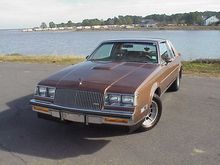 My '87 Limited Turbo T. They made 1035 Limiteds and I have never seen another brown one.