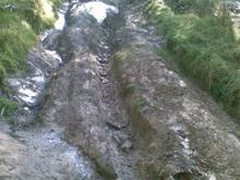 A typical back country track over here in NZ. It doesn't look much but I had trouble walking up here it was real steep lots of fun driving up and down