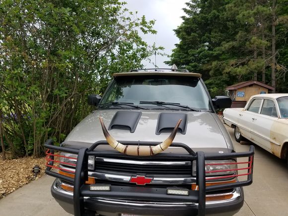 Hood scoops got here, now they need to be painted