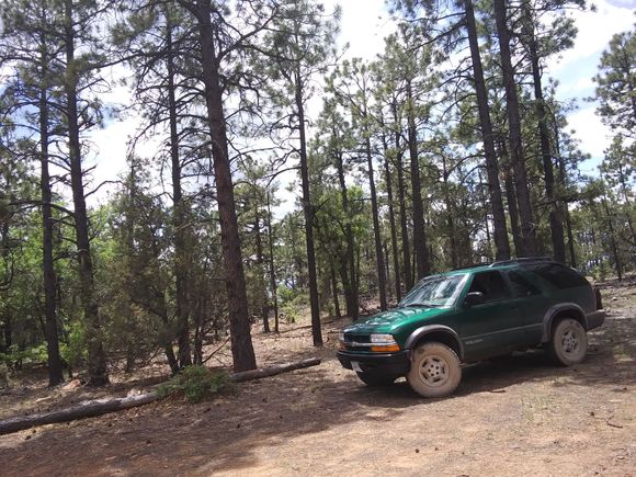 zuni mountains