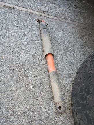 One of the old shocks. I didn't see any leaks on them but I suspect they were original.