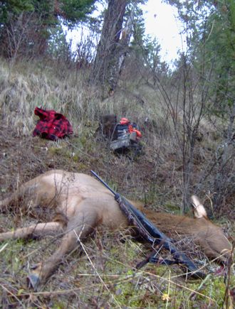 Of course, instead of taking three steps up hill, th elk took three steps and tumbled down the incline. One way or another, elk make you pay for the privilege of the opportunity to put them in the freezer!