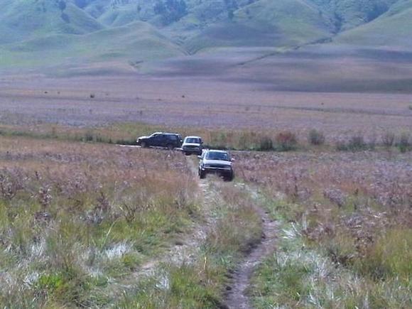 IMG01223 20100704 1338 (Medium)
